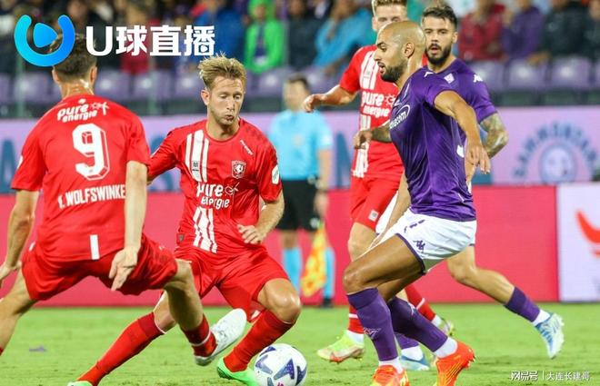 这种稳定的 这种稳定的